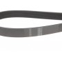 Ремінь генератора VW T4 2.5TDI 90-03 (6PK2213)