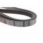 Ремінь генератора MB OM606 -99 (PS)/ Kia Carnival/ Sedona 2.7 05-15/ Opel Antara 2.0 CDTI 06-