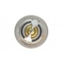 Термостат Renault Master 3.0dCi 04- (71°C)