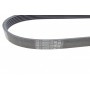 Ремінь генератора Citroen C3/C4/Peugeot 307 1.4-1.6HDi 02- (6PK1090)