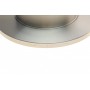 Диск гальмівний (передній) Renault Megane/ Clio 1.2-1.9 90-03 (238x12mm)