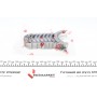Вкладиші корінні Ford Transit 2.3 16V 00-06/Mondeo III/Focus 1.8/2.0 16V 00-07 (+0.25) = 6085182500