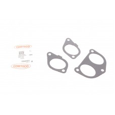 Прокладка колектора впускного Fiat Scudo/Peugeot Expert 1.9D 98-06 (к-кт)