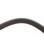 Ремінь генератора Peugeot Expert/Citroen Jumpy 1.9D/TD 96-/2.0HDI 00- (6PK1740)