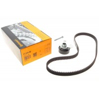 Комплект ГРМ VW Caddy II/Polo 1.0/1.4 95-04 (19x135)