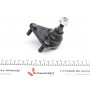 Опора кульова (передня/знизу) Audi A3 99-03/TT 98-06/Seat Leon 02-06/VW Golf IV 02-05