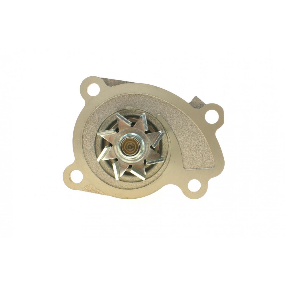 Помпа води Renault Clio/Scenic/Megane/Kangoo/Nissan Qashqai/Juke 0.9-1.2-1.4TCe/1.6Sce 09-