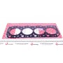 Прокладка ГБЦ Toyota Land Cruiser/Hilux/VW Taro 2.4D 87-06 (1 метка) (1.45mm)