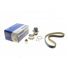 Комплект ГРМ + помпа Seat Ibiza 1.9 TDI 01-09/VW Polo/Skoda Fabia 1.4/1.9TDI 03-10