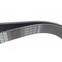 Ремінь генератора BMW 3 (E90)/Opel Movano 2.0i/2.5DTI 03-