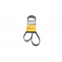Ремінь генератора Ford Transit Connect 02-13/Focus 99-05/Toyota Avensis 03-12/Corolla 01-07/Renault
