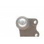 Опора кульова (передня/знизу/R) Audi A1 10-/Seat Ibiza 02-15/Skoda Fabia 99-14/Rapid 12-/VW Polo 01