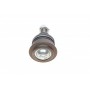 Опора кульова (передня/знизу) Nissan Primera/Sunny 86-02/Almera II 00-