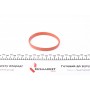 Прокладка колектора впускного BMW 5 (E39) 89-03, M43/M50/M52