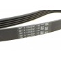 Комплект ременя генератора + помпа Audi A4/A6/VW Passat B5 1.9TDI 95-01 (5PK1592)