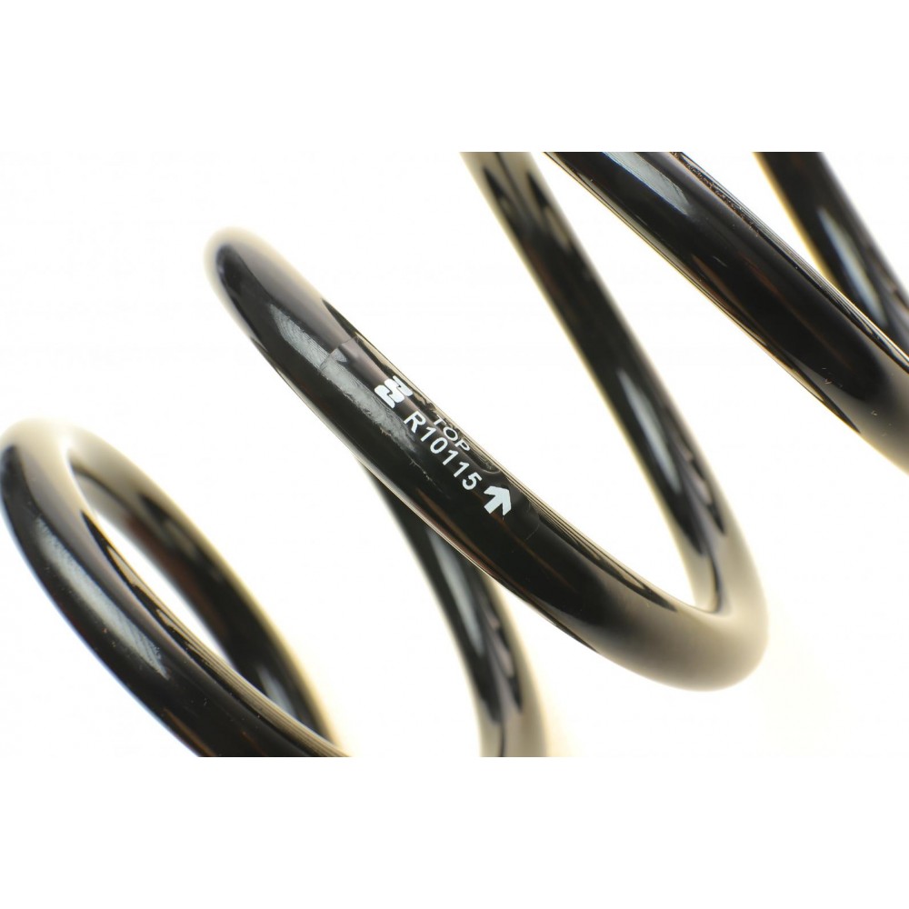 Пружина (задня) BMW 5 (E39) 2.0-3.0d/2.0-4.4i (M47/M52/M57/M54/M51/M62 95-03