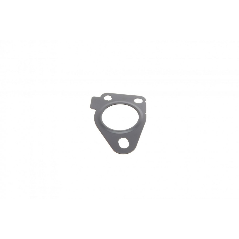 Комплект прокладок турбіни Renault Kangoo 1.5dCi 10- (80kw)
