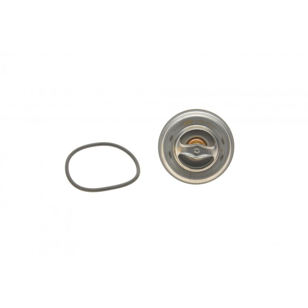 Термостат VW LT 28-46 96-06/T4 2.5 TDI 98-03 (87 °C)
