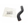 Патрубок інтеркулера Renault Kangoo 1.5dCi 08-