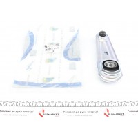 Подушка двигуна (задня) Renault Megane II/Kangoo 1.4-1.6/1.5 dCi 02- (косточка)