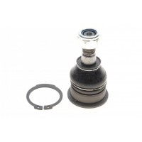 Опора кульова (передня/знизу) Nissan Primera/Sunny 86-02/Almera II 00-
