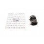 Патрубок системи охолодження Citroen Berling/C2/C3/C4/Peugeot 1007/206/207/307/Partner 1.6D 04-