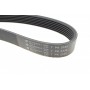 Ремінь генератора MB S-class (W220/C215) 5.5-6.0 02-06/Land Rover Range Rover 3.9-4.6 94-02