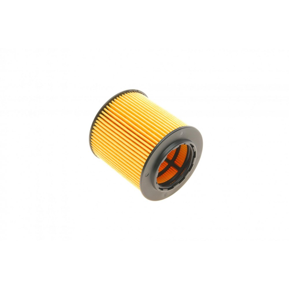 Фільтр масляний BMW (E90/F30)/5 (E60/F10) 05-16 (N52/N53/N20/N55)