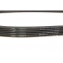Ремінь генератора VW T5 3.2 V6 03-09