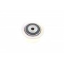Ролик генератора Citroen C5/C6/Peugeot 407/607/Renault Clio II 2.9/3.0 01- (паразитний)