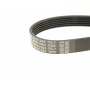 Ремінь генератора VW T5 3.2 V6 03-09