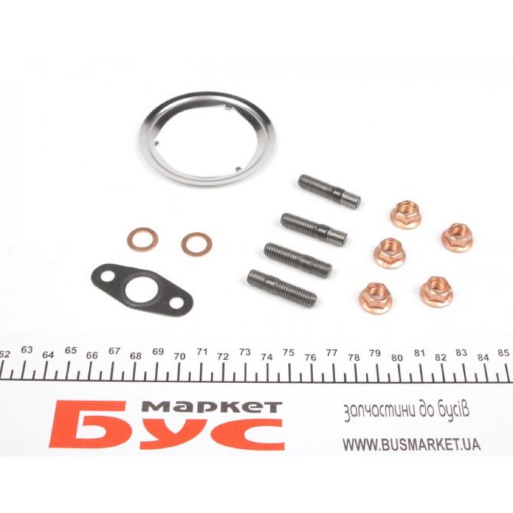 Комплект прокладок турбіни VW Crafter 2.5TDI 06-13 (65-120kw) BJJ/BJK/BJL/BJM