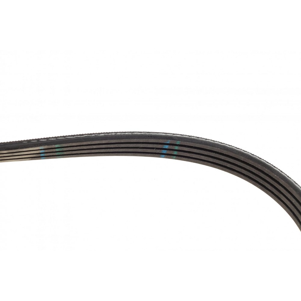 Ремінь генератора Fiat Sedici/Honda Civic/Kia Pride/Opel Omega B 1.6-4.4 88-14