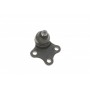 Опора кульова (передня/знизу) Citroen Berlingo/Peugeot Partner 96-08/Citroen Xsara 97-05 (d=16mm)