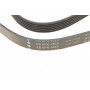 Ремінь генератора Opel Astra 1.7CDTI 04-10/ Subaru Outback 3.0-3.6 05-/ VW Passat 3.2 05- (6PK1623)