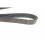 Комплект ременя генератора Peugeot 208/2008 1.6BlueHDi 13- (6PK1004)