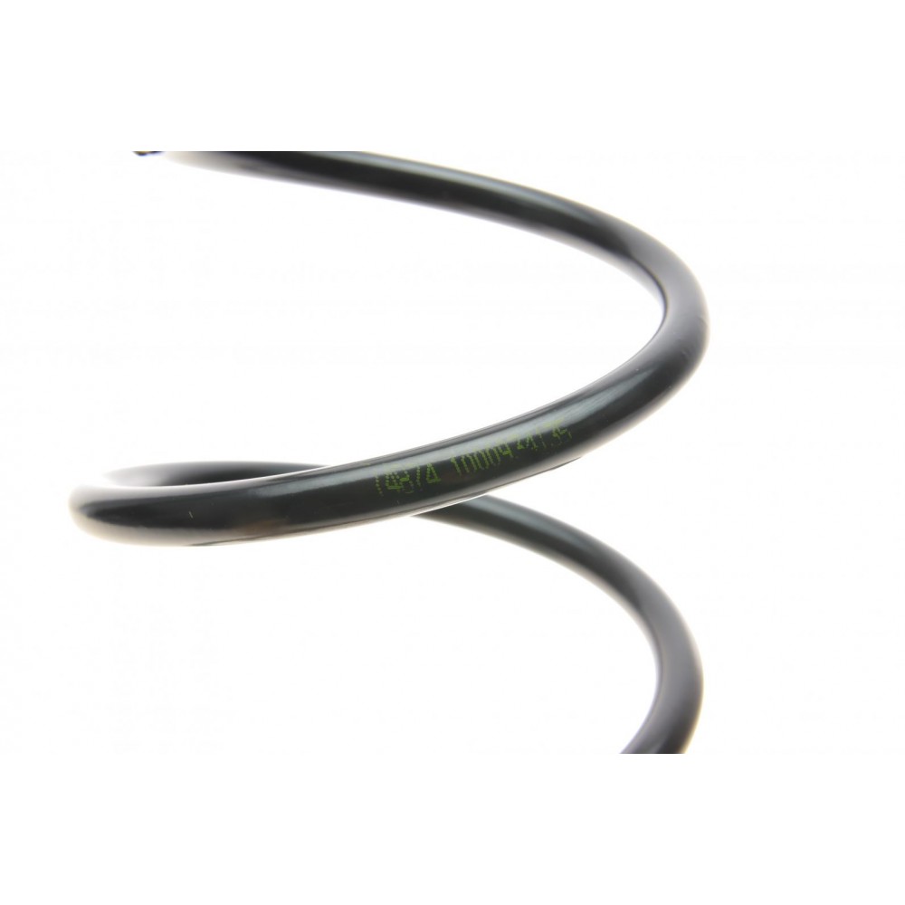 Пружина (задня) Citroen C3 1.1i/1.4-1.6 16V/1.4-1.6HDi 02- (хэтчбэк) (без здвиг.панелі даху)