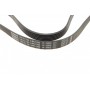 Ремінь генератора Citroen Berlingo 1.6HDi 05-11/Jumpy 2.0 00-06 (6PK1705)