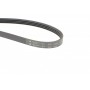 Ремінь генератора Toyota Land Cruiser 200 4.5 D-4D 07-