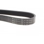 Ремінь генератора Land Rover Discovery III 4.4 04-13 (6PK2345)