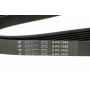 Ремінь генератора Audi A3/A4/Seat Leon/VW Caddy/Passat/Tiguan 1.6-2.0TDI (6PK1025)