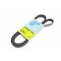 Ремінь генератора Renault Kangoo 1.4-1.6i, 97-/ Hyundai Matrix/ Kia Rio II 1.5 CRDi 04- (5PK1750)