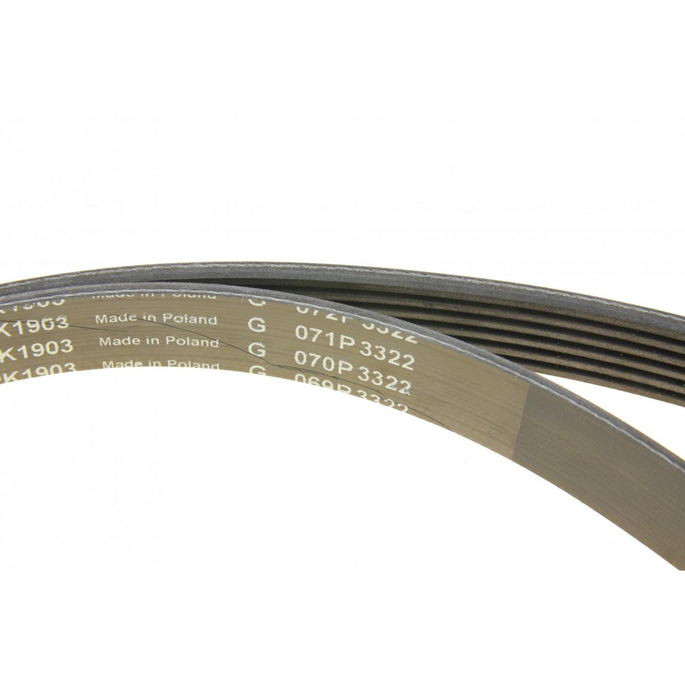 Комплект ременя генератора Opel Astra/Vectra 89-02 (6PK1903)