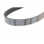 Ремінь генератора Fiat Scudo 1.6/ Renault Kangoo 1.9D 97-/ VW Golf/ Passat 1.6-2.0 90-02 (6PK894)