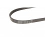 Ремінь генератора Fiat Sedici/Honda Civic/Kia Pride/Opel Omega B 1.6-4.4 88-14