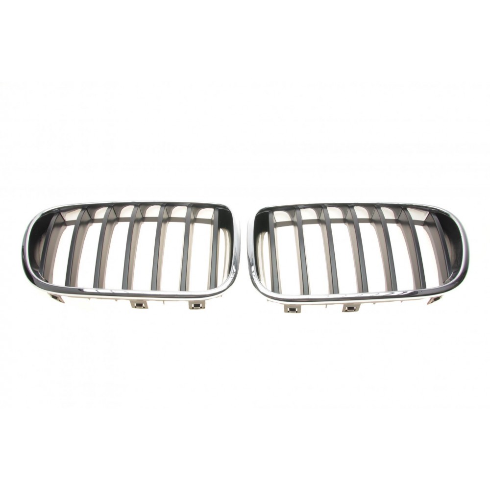 Решітка радіатора BMW X3 (F25) 09-17 (к-кт)