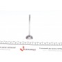 Клапан (впуск) Renault Clio/Kangoo/Twingo 1.2 96- (32.8x6x106.8) (вальцювання)