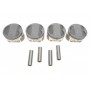 Поршень Dacia Logan/Sandero/Renault Clio/Megane 1.6 8V 96- (79.75mm/+0.25mm) (к-кт 4 шт)