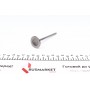 Клапан (впуск) Opel Combo/Astra G/H/Insignia A 1.0 12V/1.2 16V 98- (28x5x93.85) (азотовані)