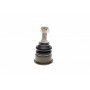 Опора кульова (передня/знизу) Mini Mini Cooper 06-13 N12/N14/N16/N18
